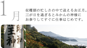 1月 収穫期の忙しさの中で迎えるお正月。三が日を過ぎるとみかんの神様にお参りをしてすぐに仕事はじめです。 1月 収穫期の忙しさの中で迎えるお正月。三が日を過ぎるとみかんの神様にお参りをしてすぐに仕事はじめです。