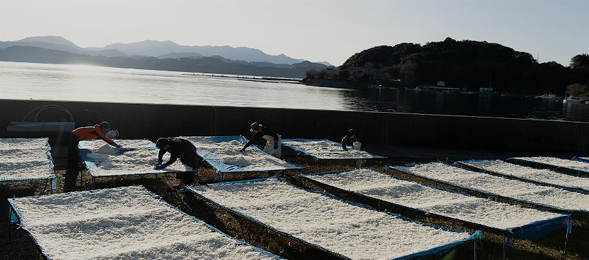 こだわりと特長