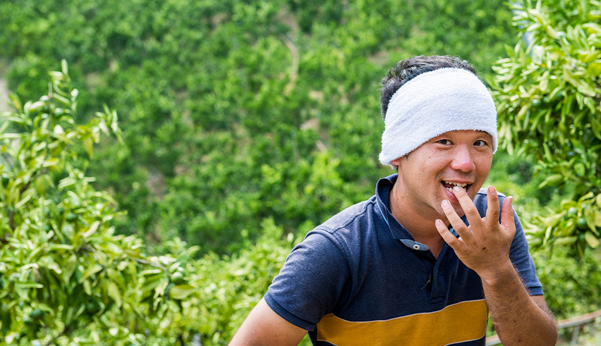 生産者からのメッセージ