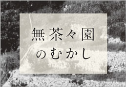 無茶々園のむかし