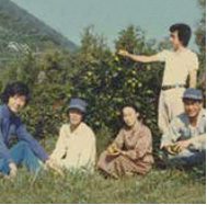 1970無茶々園の始まり伊予柑園のスタッフたち