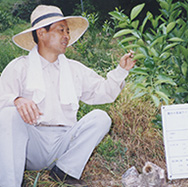 2000無茶々園のつながり 北条風早農場（野菜畑）開園