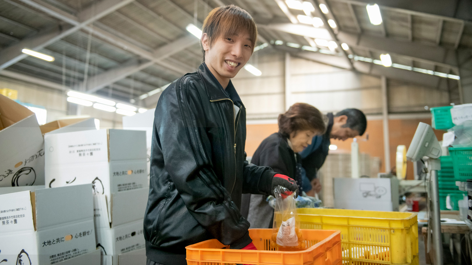 株式会社 地域法人無茶々園の仕事｜選果・出荷場の運営