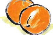 ネーブルオレンジ(絵)