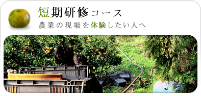 農業の現場を体験したい人へ 短期研修コース