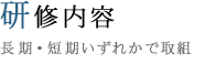 研修内容 長期・短期いずれかで取組