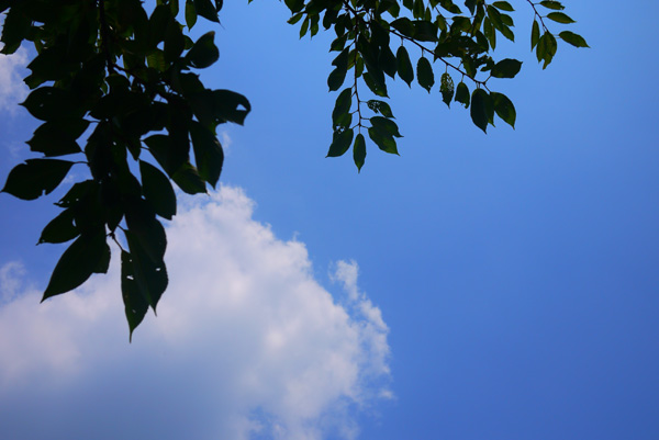 今日も青空