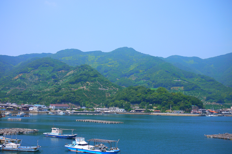 真夏の明浜