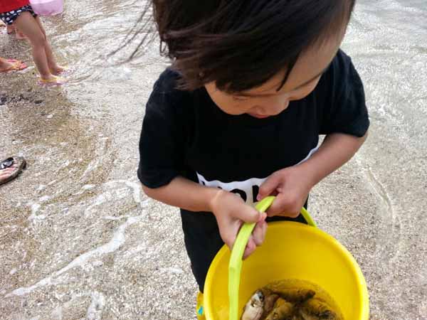 バケツの稚魚　見えるかな