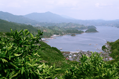 夏の景色