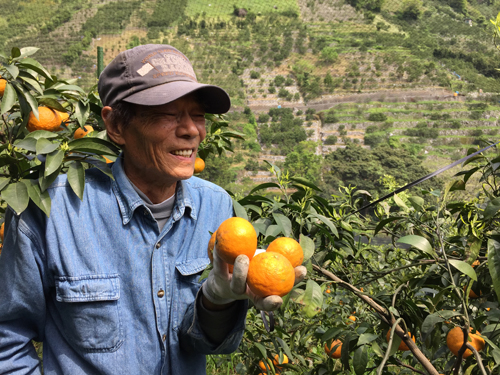 生産者、高岡助則さん。