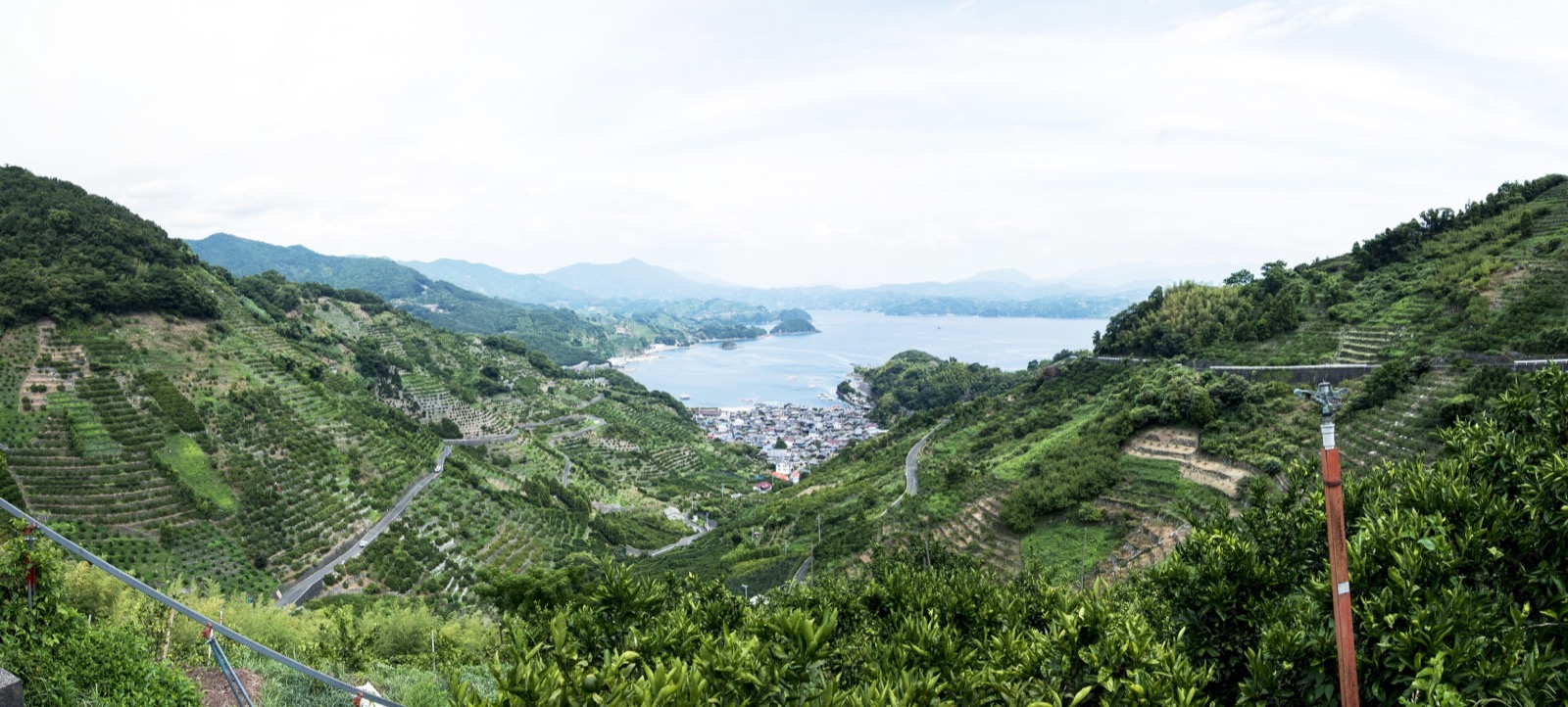 愛媛県西予市明浜の段々畑と宇和海のパノラマ風景